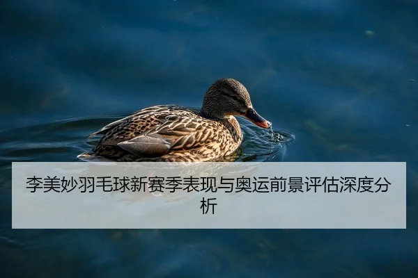 李美妙羽毛球新赛季表现与奥运前景评估深度分析